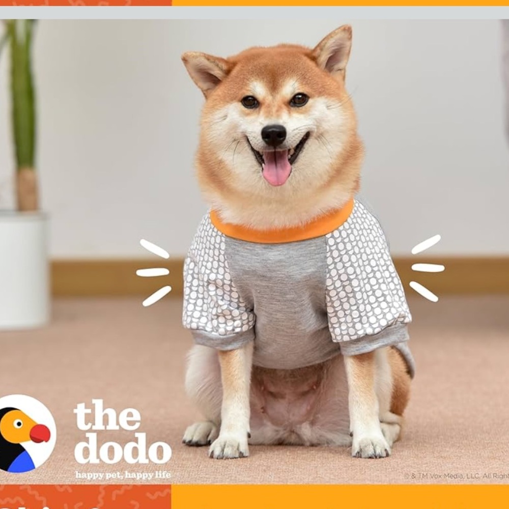 The Dodo ‘Favorite Family Member' Grey Dog T-Shirt with Yellow Trim Size L - Picture 3 of 12